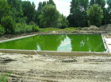 2 - Die Wanne ist voll ... ( Schwimmer)  I