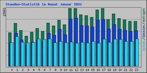 Stunden-Statistik im Monat Januar 2021