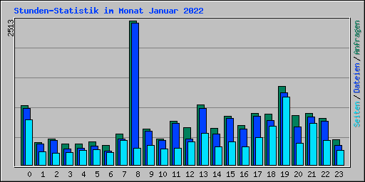 Stunden-Statistik im Monat Januar 2022