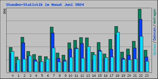 Stunden-Statistik im Monat Juni 2024