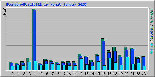 Stunden-Statistik im Monat Januar 2025