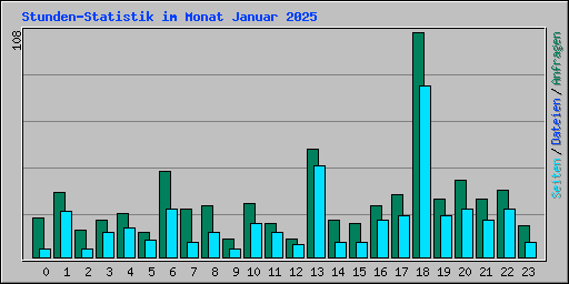 Stunden-Statistik im Monat Januar 2025