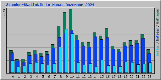 Stunden-Statistik im Monat Dezember 2024