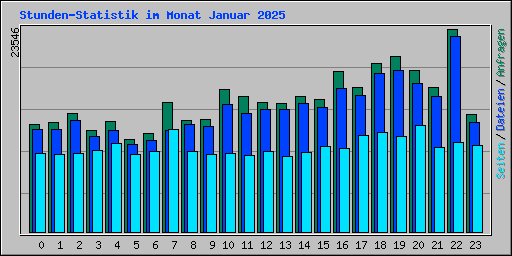 Stunden-Statistik im Monat Januar 2025