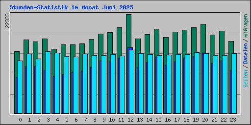 Stunden-Statistik im Monat Juni 2025