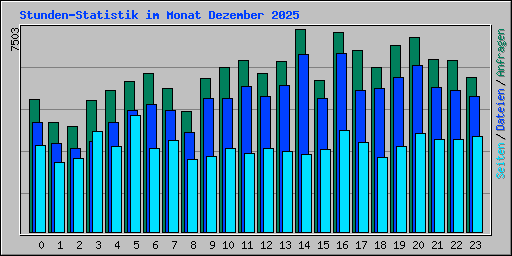 Stunden-Statistik im Monat Dezember 2025