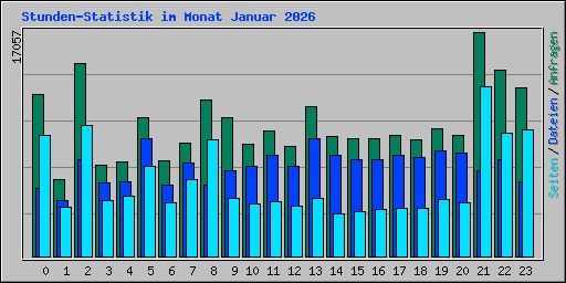 Stunden-Statistik im Monat Januar 2026